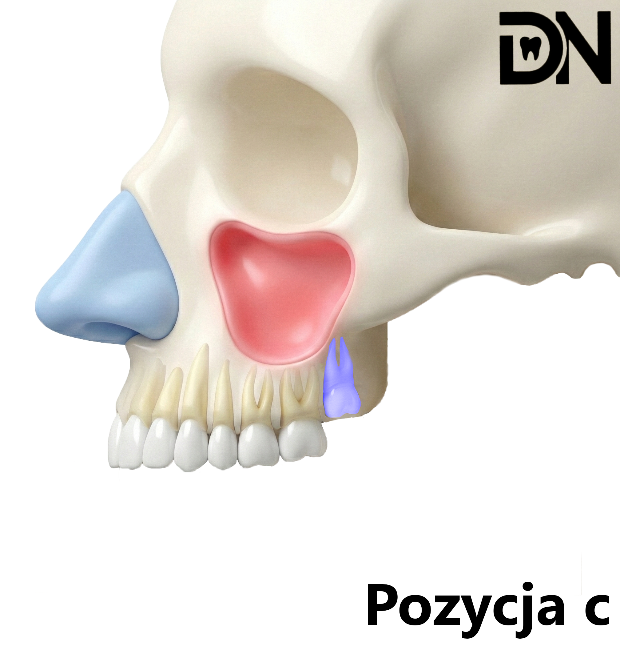 Pozycja c, d, e (klasa C)