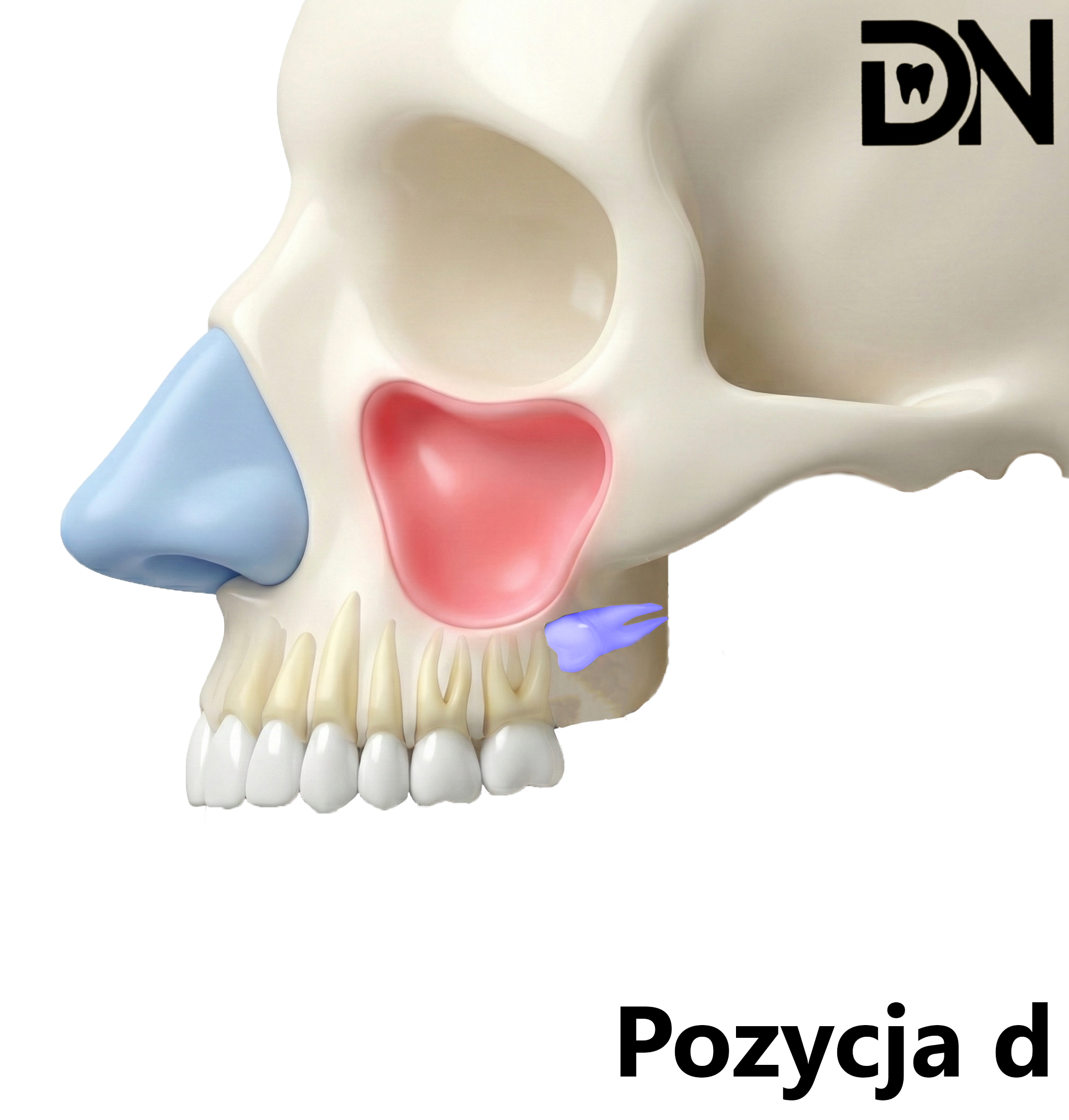 Pozycja c, d, e (klasa C)